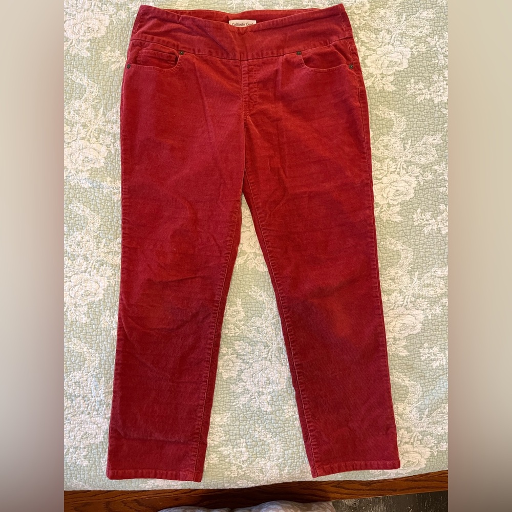 Coldwater Creek Burnt Orange Corduroy Pants